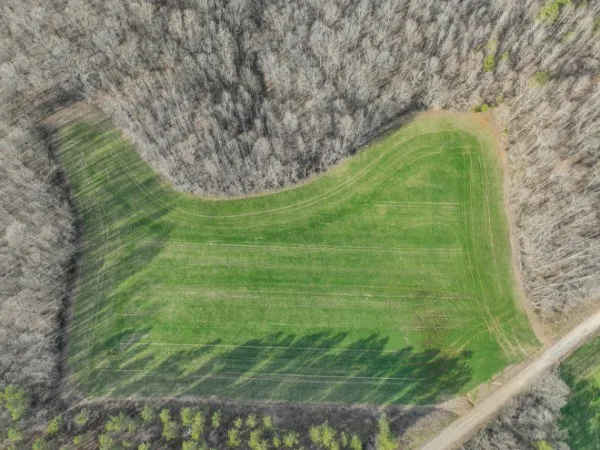 a view of a field with an trees