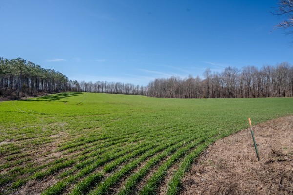 0 Tidwell Hollow Road Iron City, TN 38463 - Photo 20 of 44 a view of a field with an ocean