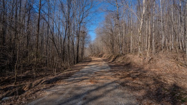 0 Tidwell Hollow Road Iron City, TN 38463 - Photo 26 of 44 a view of a backyard with pathway