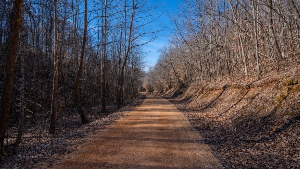 0 Tidwell Hollow Road Iron City, TN 38463 - Photo 27 of 44 a view of path along with trees