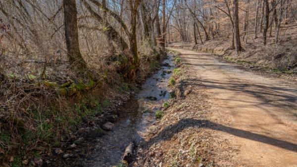 0 Tidwell Hollow Road Iron City, TN 38463 - Photo 28 of 44 a view of yard with trees