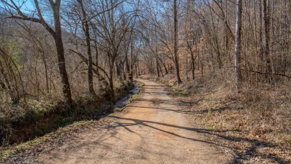 0 Tidwell Hollow Road Iron City, TN 38463 - Photo 30 of 44