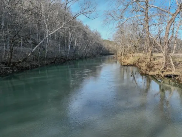 a view of a lake in between two large trees