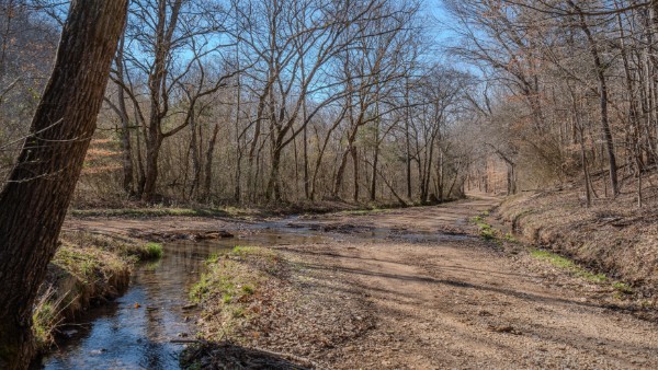 0 Tidwell Hollow Road Iron City, TN 38463 - Photo 32 of 44 a view of a yard with trees