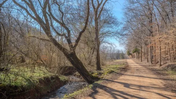a view of dirt field with trees