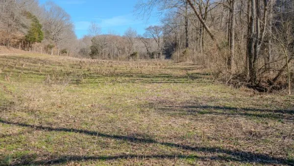 a view of a backyard of the house