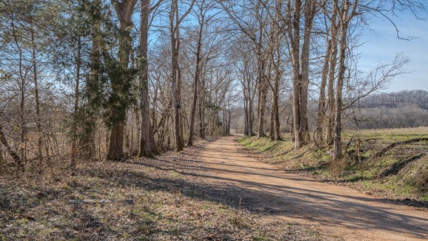 0 Tidwell Hollow Road Iron City, TN 38463 - Photo 37 of 44 a view of a backyard of the house