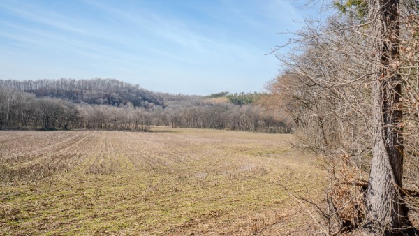0 Tidwell Hollow Road Iron City, TN 38463 - Photo 39 of 44 a view of a yard with mountain view