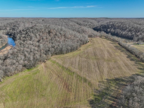 0 Tidwell Hollow Road Iron City, TN 38463 - Photo 4 of 44 a view of a dry yard
