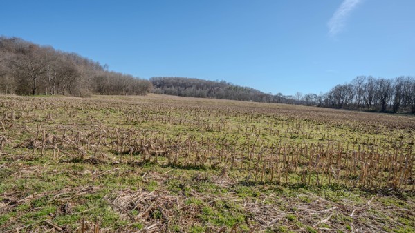 0 Tidwell Hollow Road Iron City, TN 38463 - Photo 43 of 44 a view of an outdoor space and a mountain view