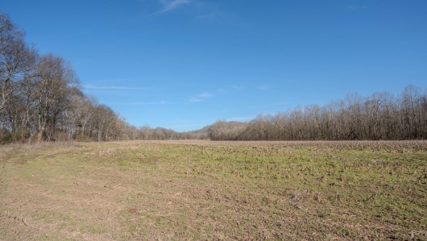 0 Tidwell Hollow Road Iron City, TN 38463 - Photo 44 of 44 a view of an outdoor space and a yard