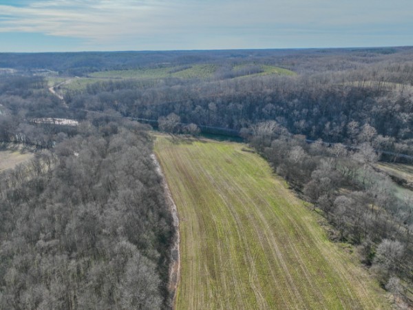 0 Tidwell Hollow Road Iron City, TN 38463 - Photo 5 of 44 a view of a yard