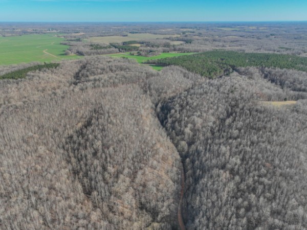 0 Tidwell Hollow Road Iron City, TN 38463 - Photo 6 of 44 a view of a dry yard with wooden fence