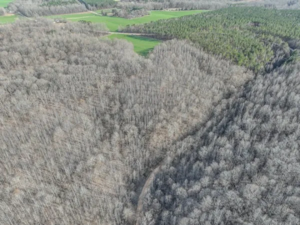 a view of a dry yard with lots of green space