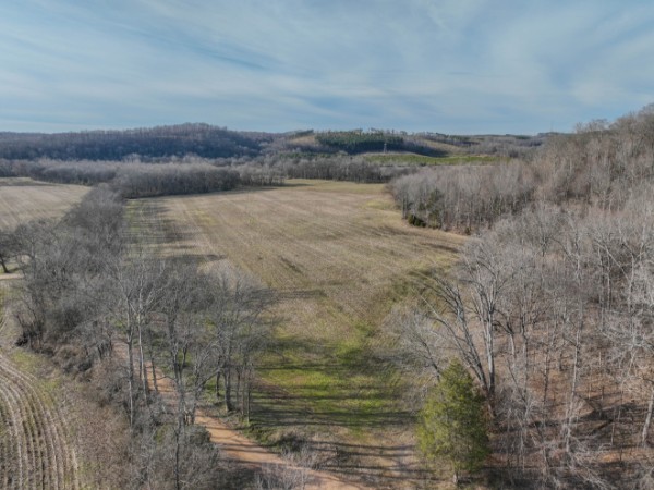 0 Tidwell Hollow Road Iron City, TN 38463 - Photo 10 of 44