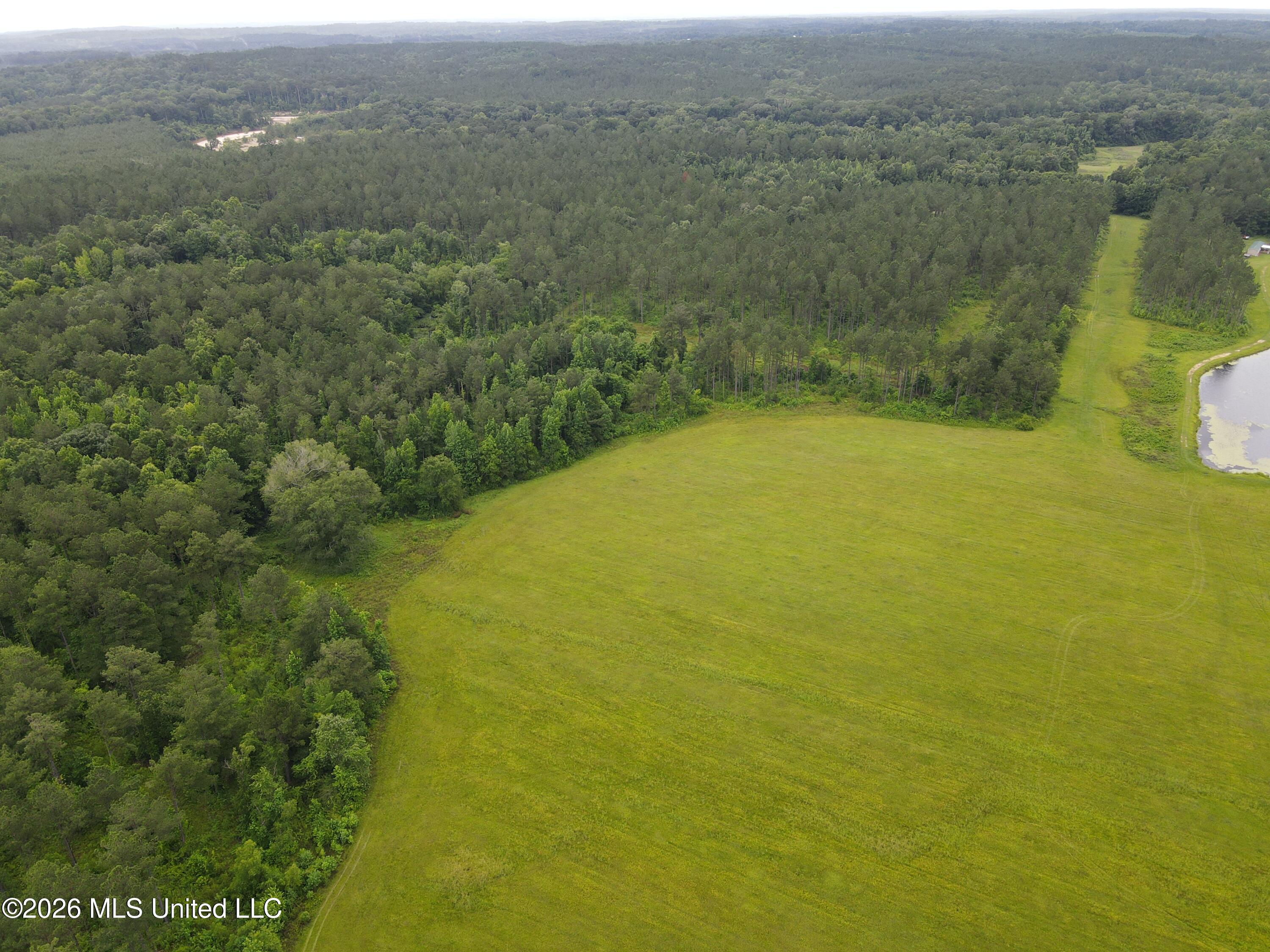 244 Foster Road Sontag, MS 39665 - Photo 86 of 105 35792
