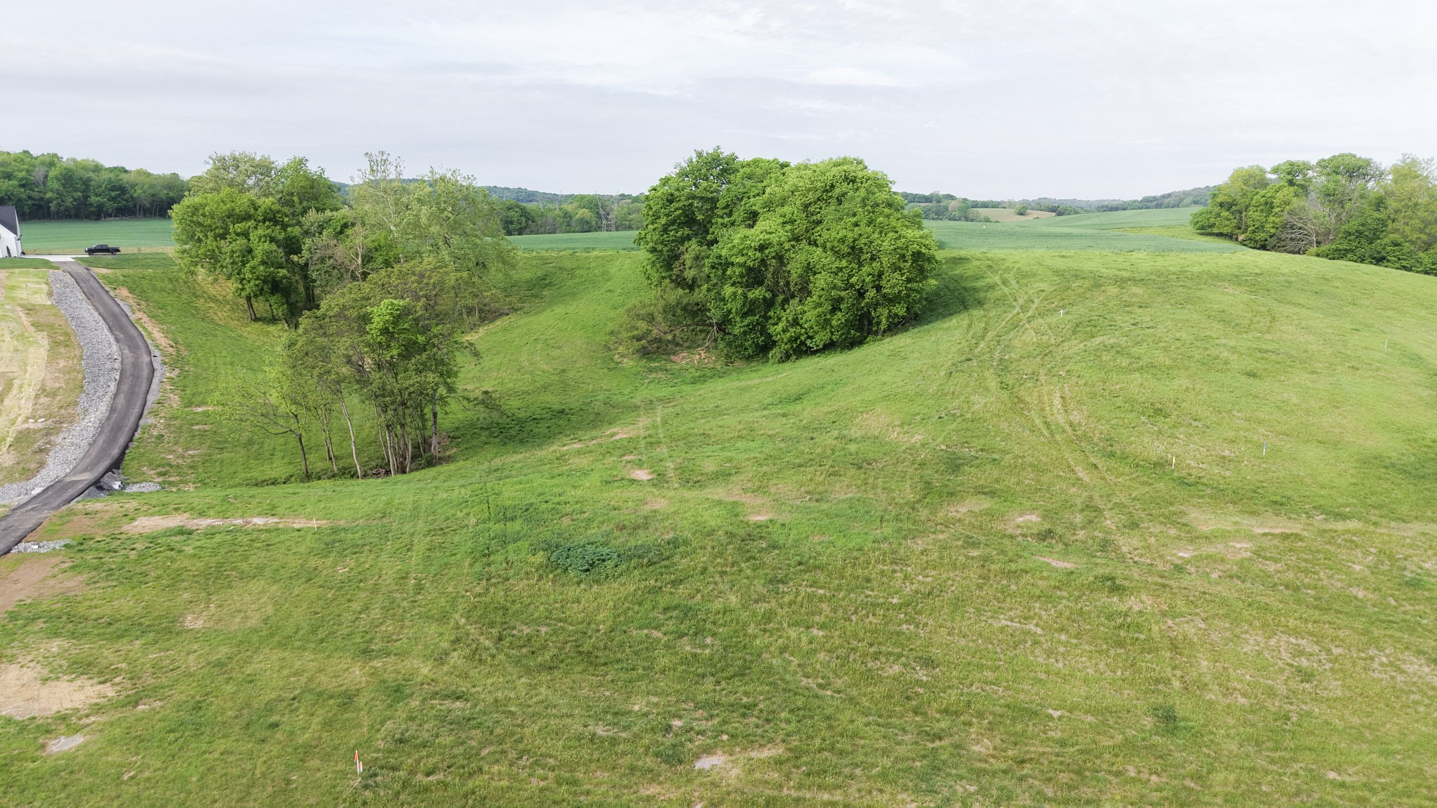 0 Cedar Bluff Road Lebanon, TN 37087 - Photo 5 of 17 a view of a big yard with lots of green space