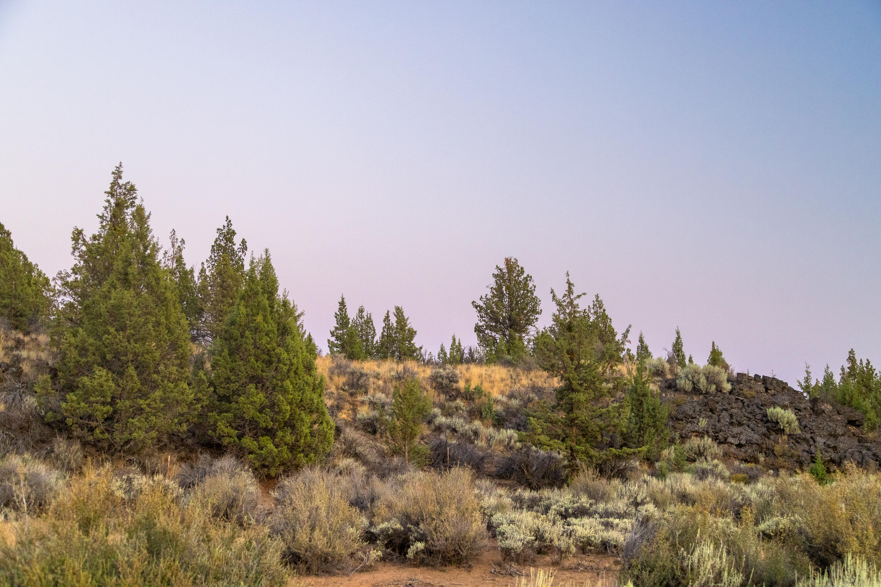 20005 Pacific Heights Rd Bend Bend, OR 97703 - Photo 10 of 19 16