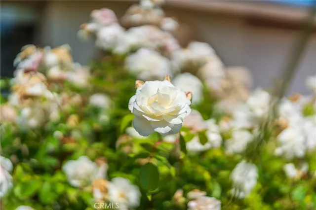 $1,995,000 | 27659 Flaming Arrow Drive, Rancho Palos Verdes, CA 90275