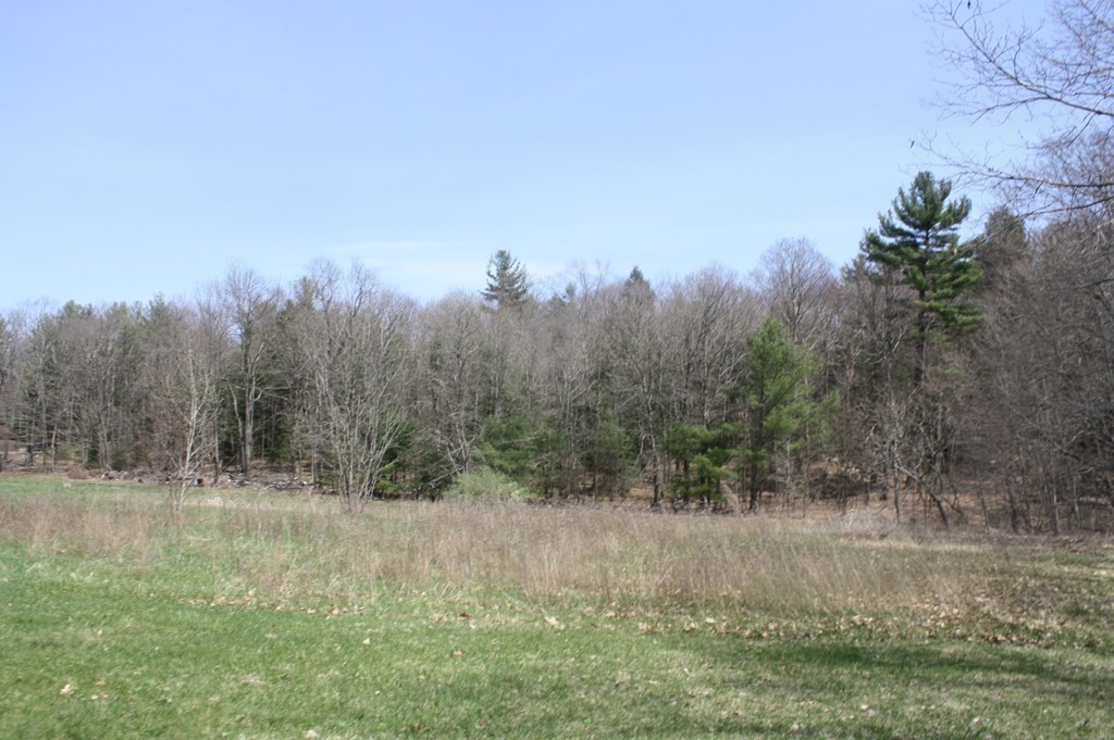 99 Long Plain Road Leverett, MA 01054 - Photo 19 of 19 Gallery Image 19