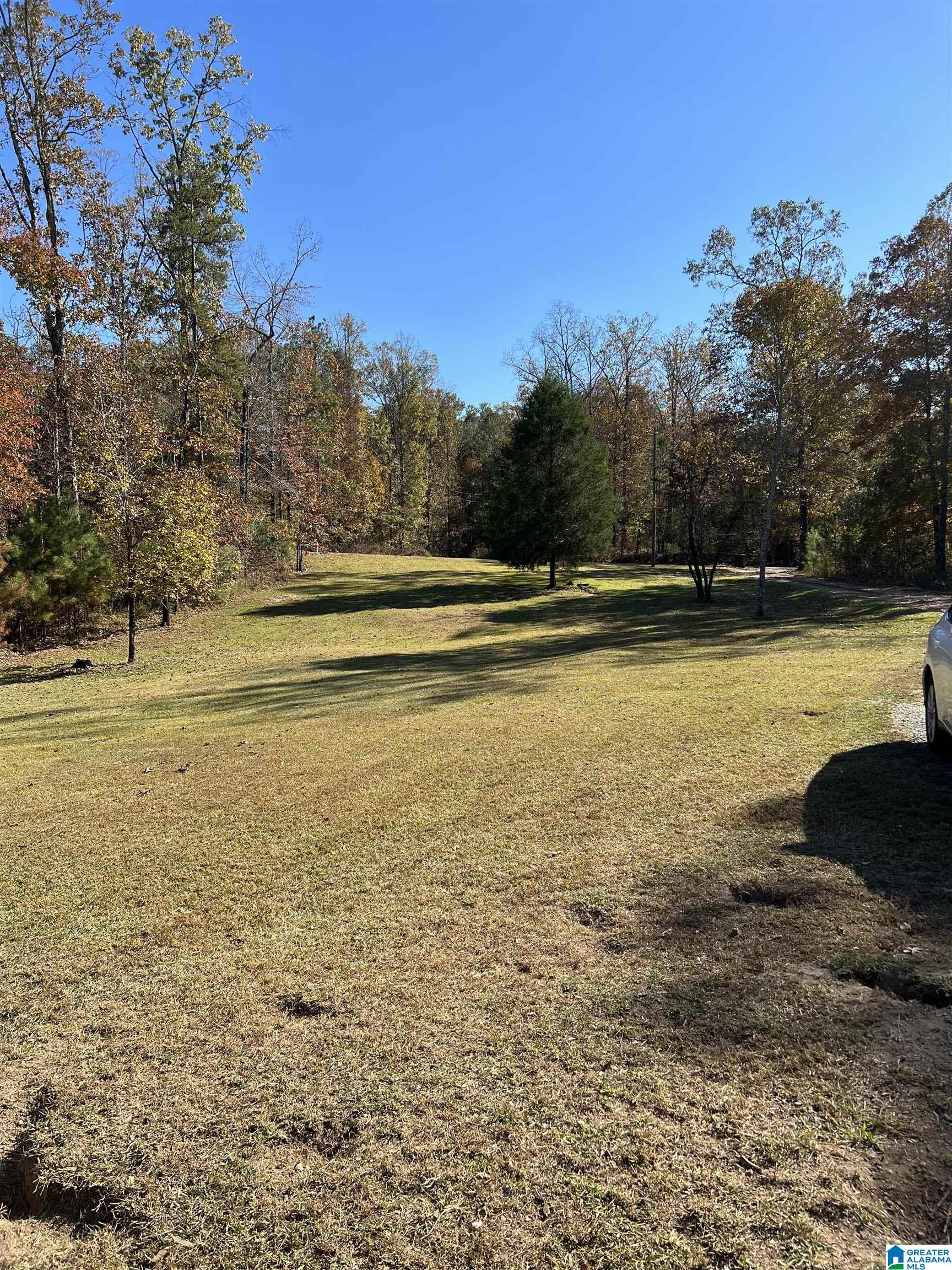 415 Crawfish Lane Ragland, AL 35131 - Photo 2 of 20