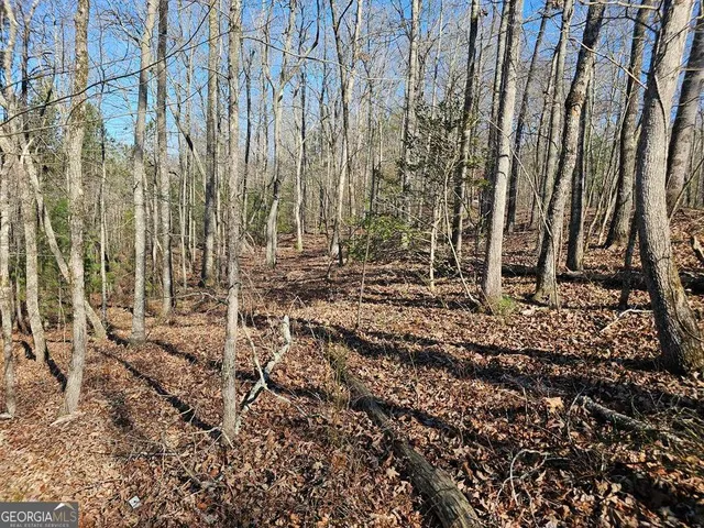 a view of a backyard of the house