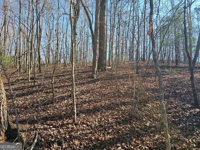a view of a backyard