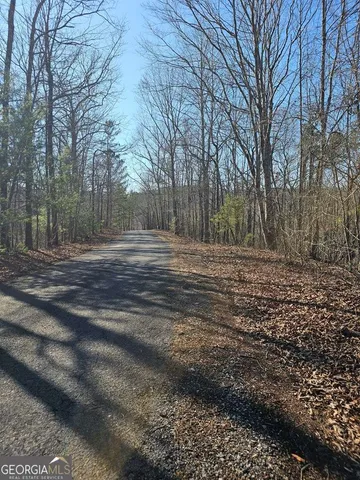 a view of a backyard of the house