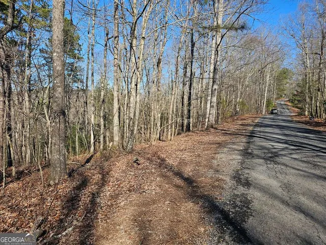 a view of a backyard of the house