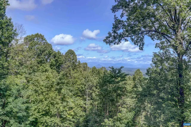 a view of a bunch of trees and bushes