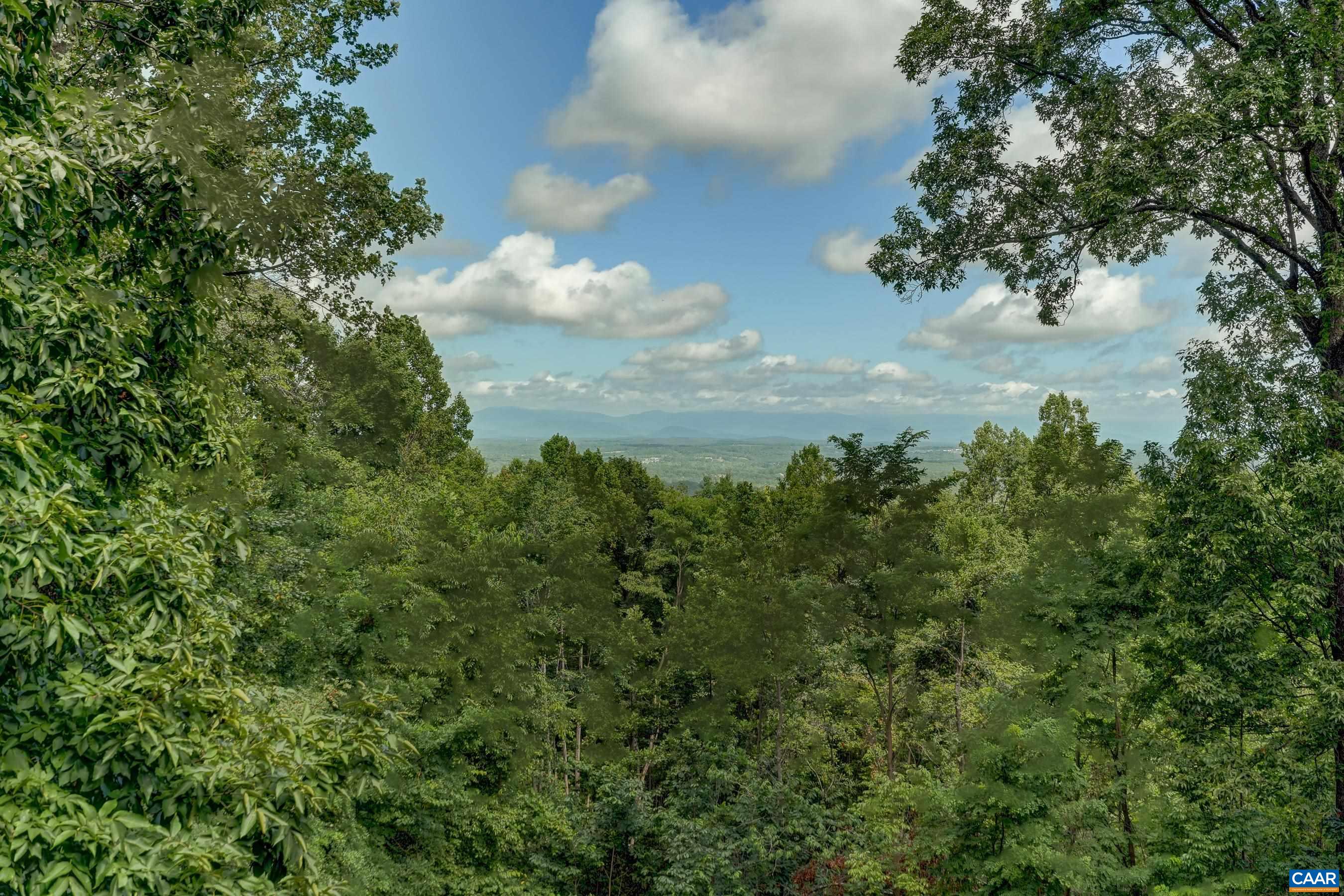 2515 Summit Ridge Trail Charlottesville, VA 22911 - Photo 52 of 55