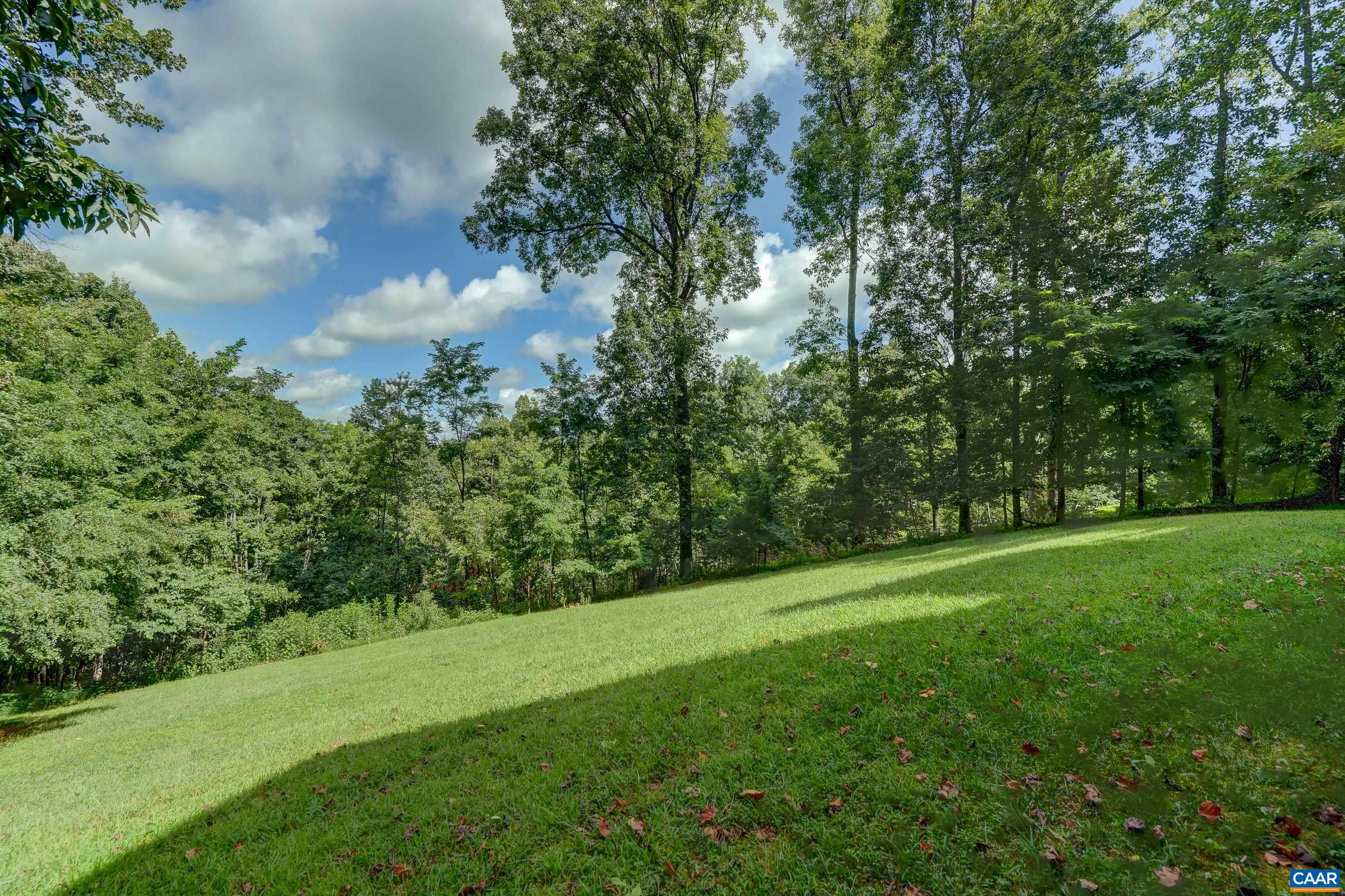 2515 Summit Ridge Trail Charlottesville, VA 22911 - Photo 53 of 55