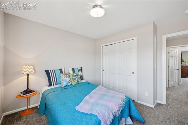 7262 Red Cardinal Loop Colorado Springs, CO 80908 - Photo 22 of 37 Gallery Image 22