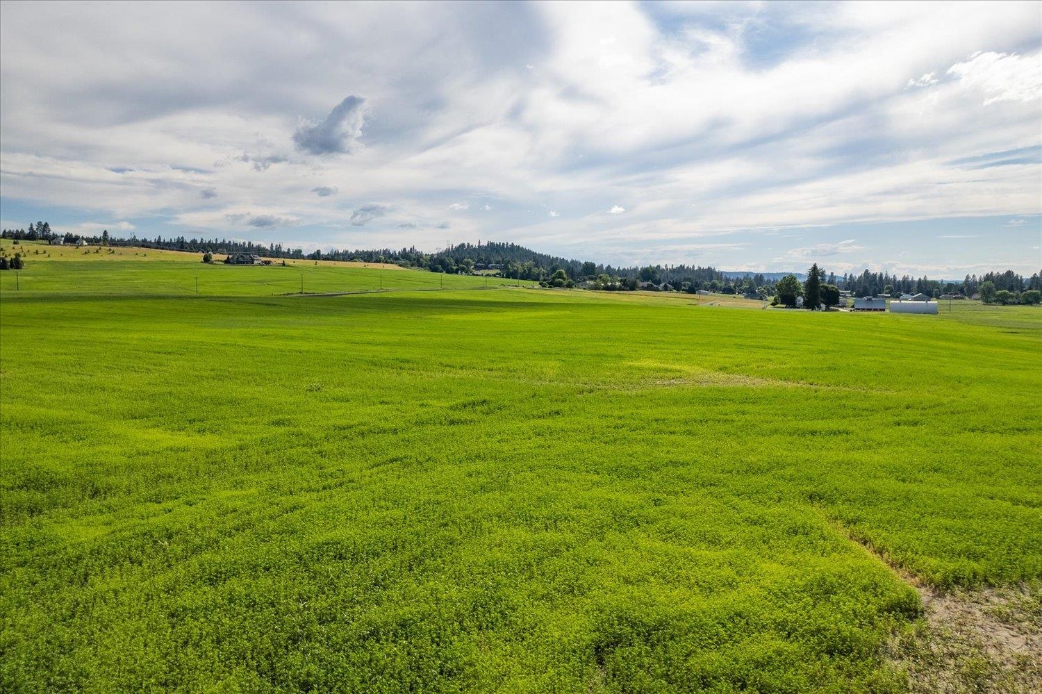 11210 North Fairview Road Mead, WA 99021 - Photo 24 of 25