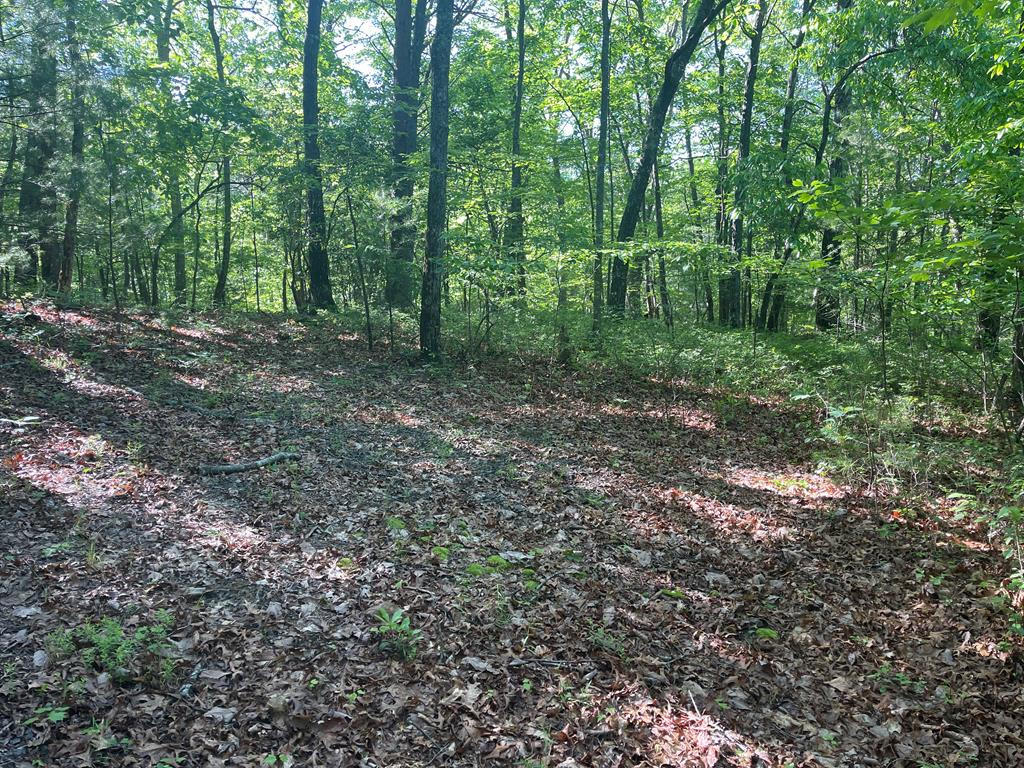 0 Roberts Road Murphy, NC 28906 - Photo 1 of 4 Main View
