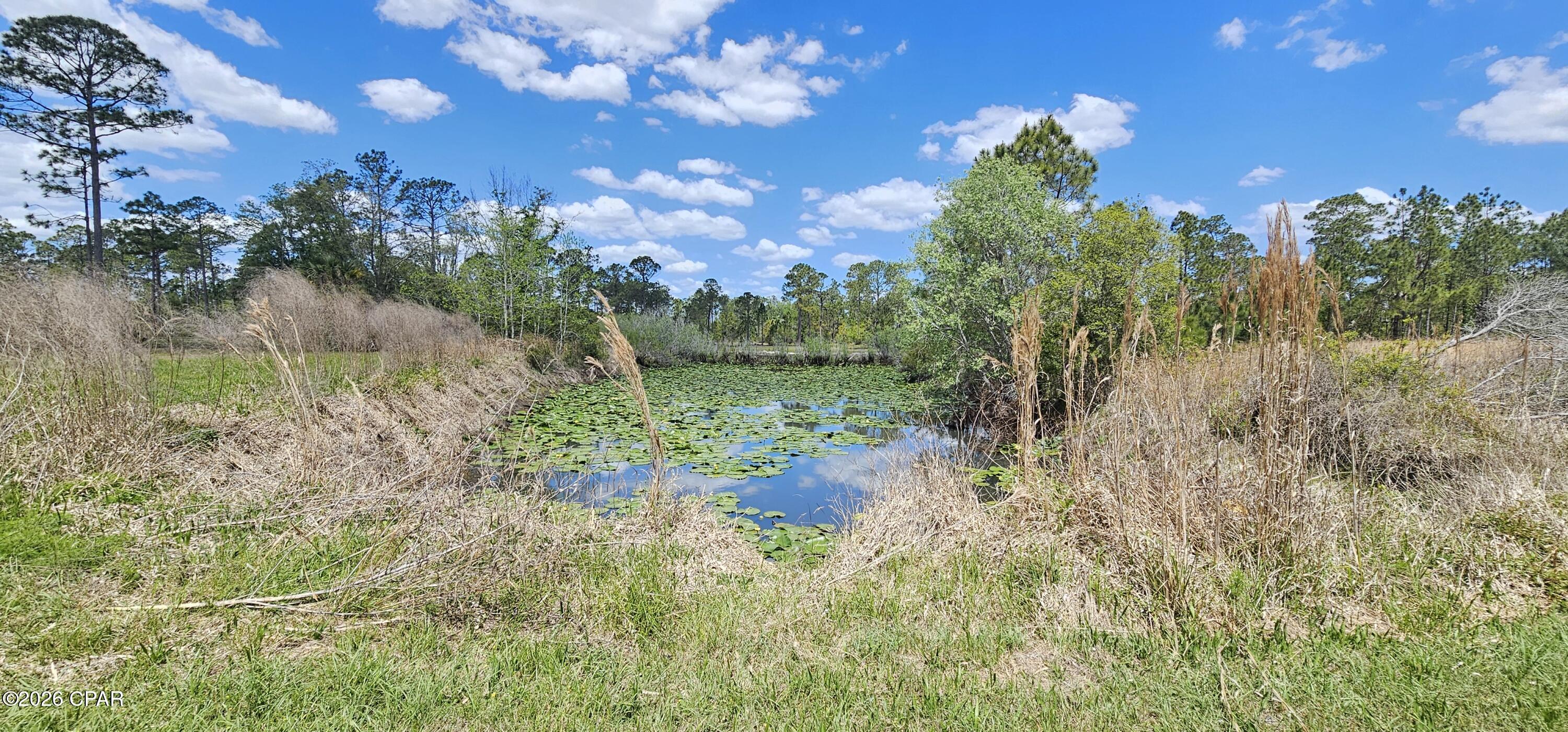 1890 Ocean Pond Road Perry, FL 32348 - Photo 13 of 15