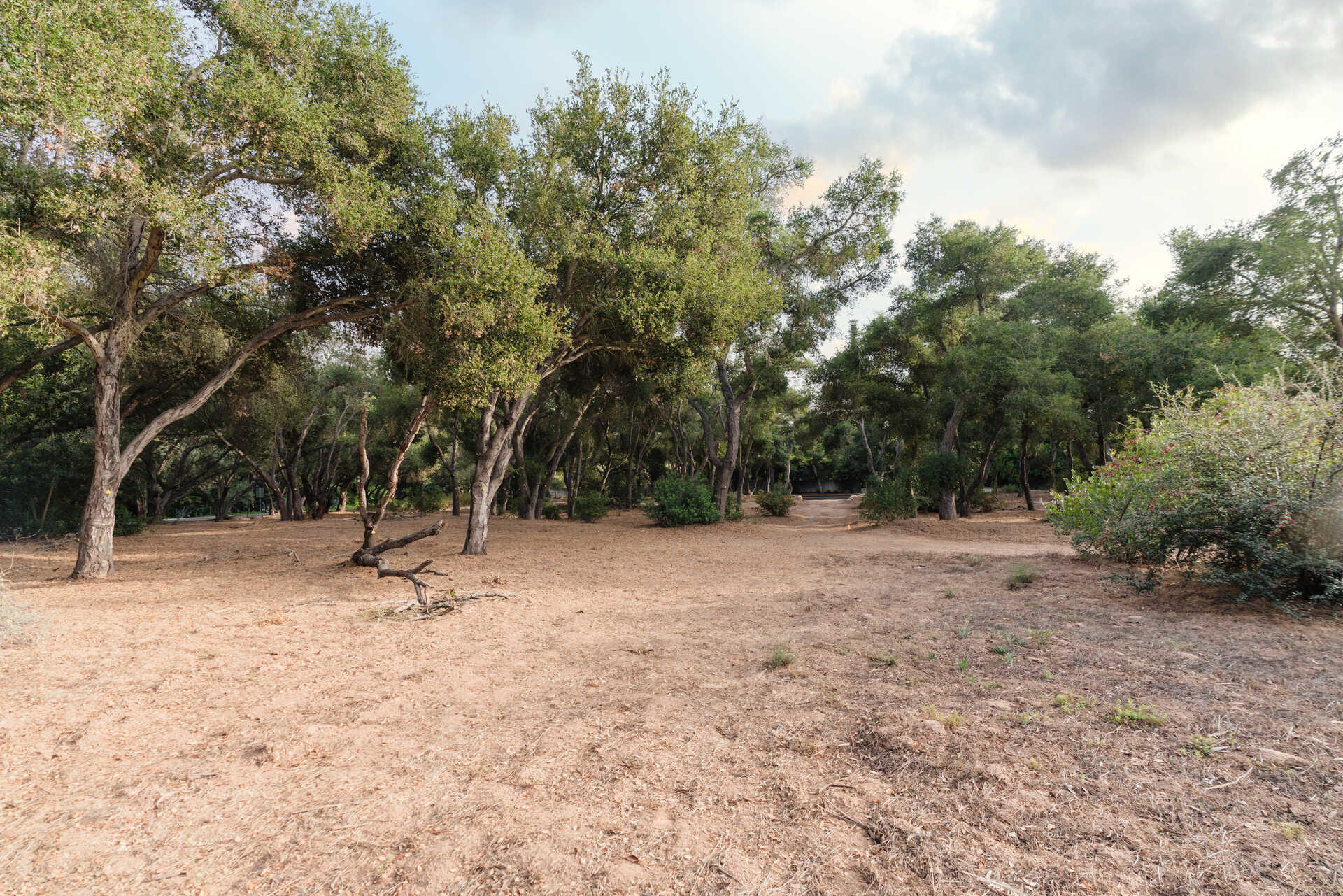 700 Riven Rock Road Montecito, CA 93108 - Photo 17 of 23 image_l_15