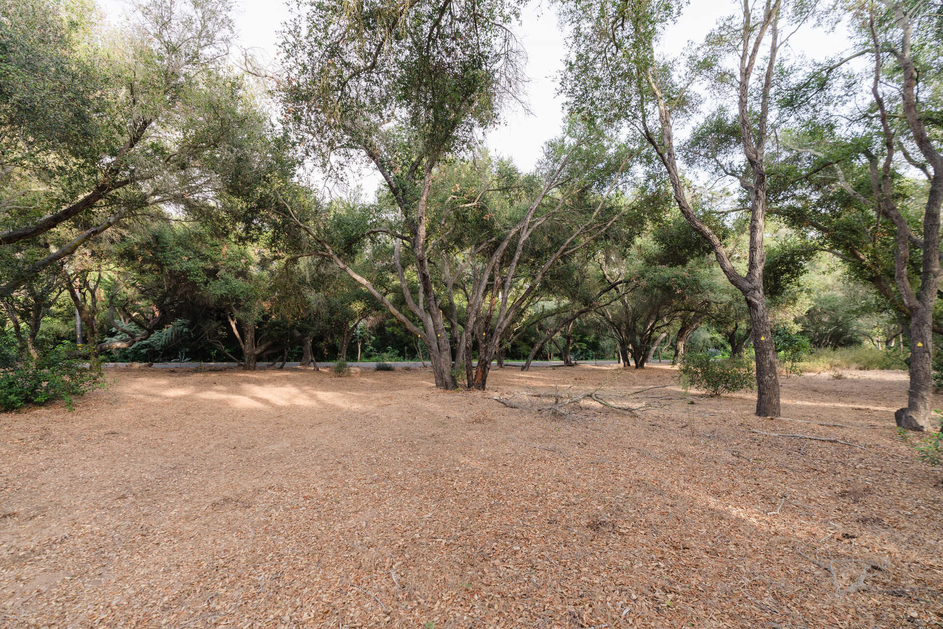 700 Riven Rock Road Montecito, CA 93108 - Photo 19 of 23 image_l_17