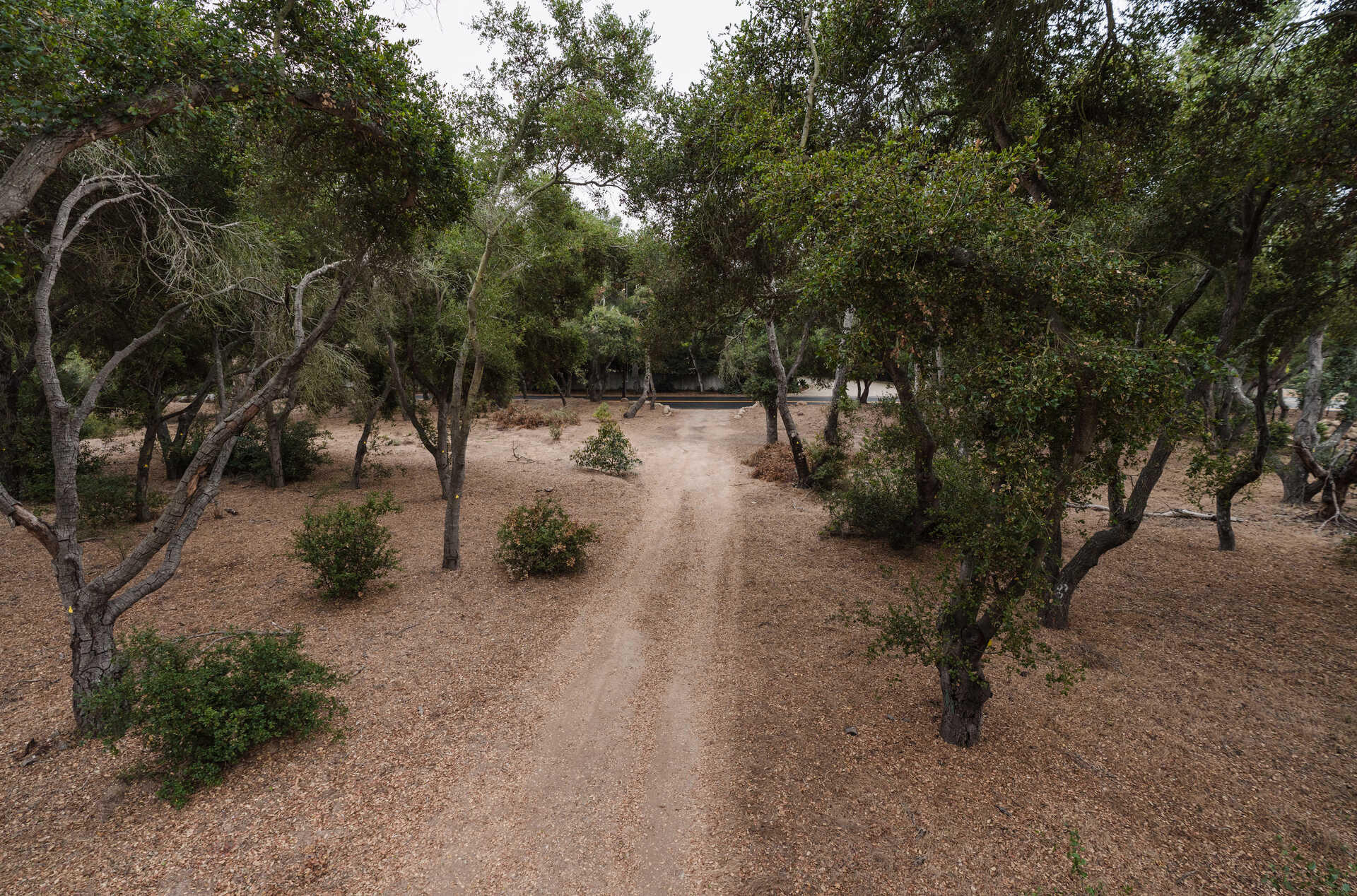 700 Riven Rock Road Montecito, CA 93108 - Photo 21 of 23 image_l_19