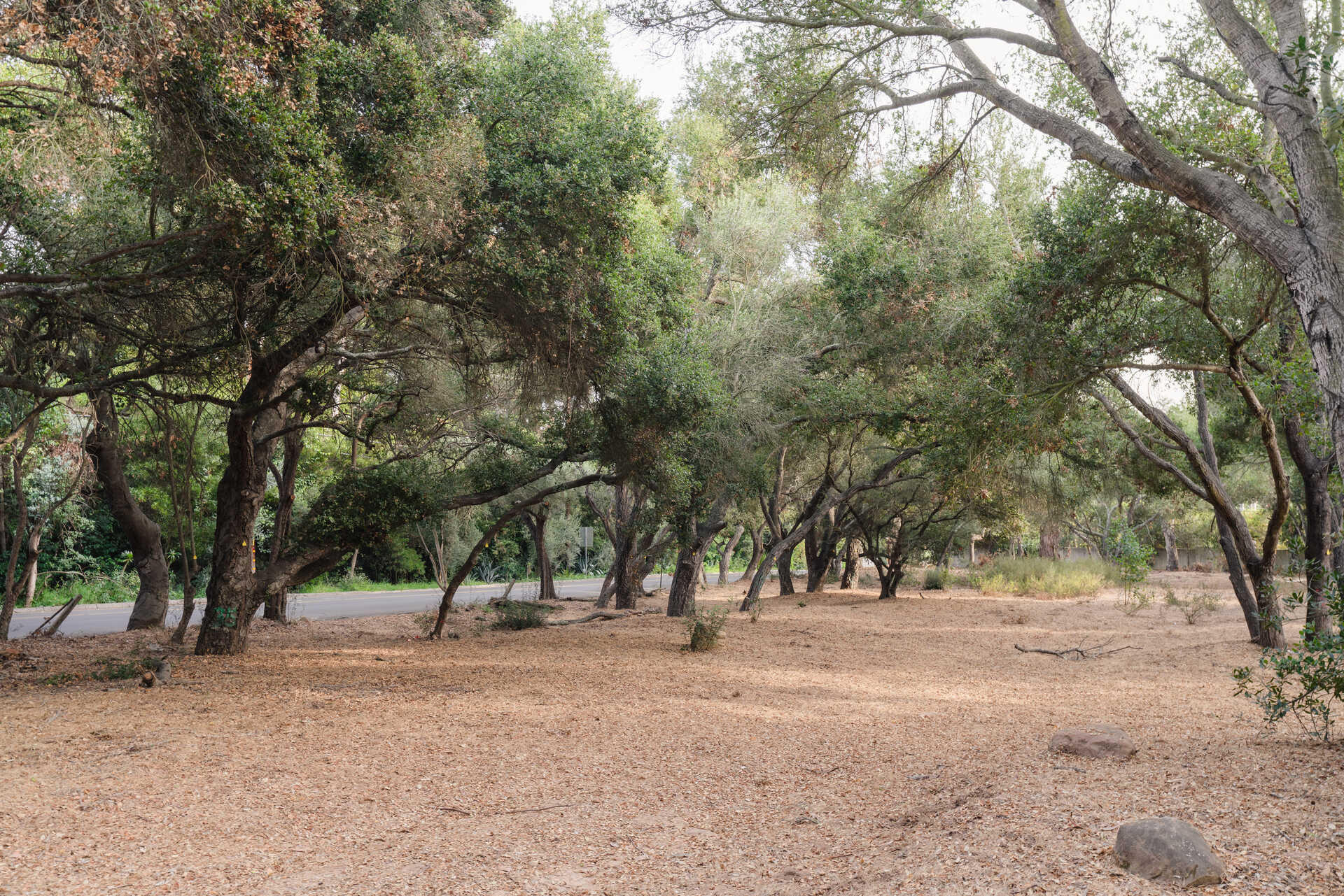 700 Riven Rock Road Montecito, CA 93108 - Photo 8 of 23 image_l_7