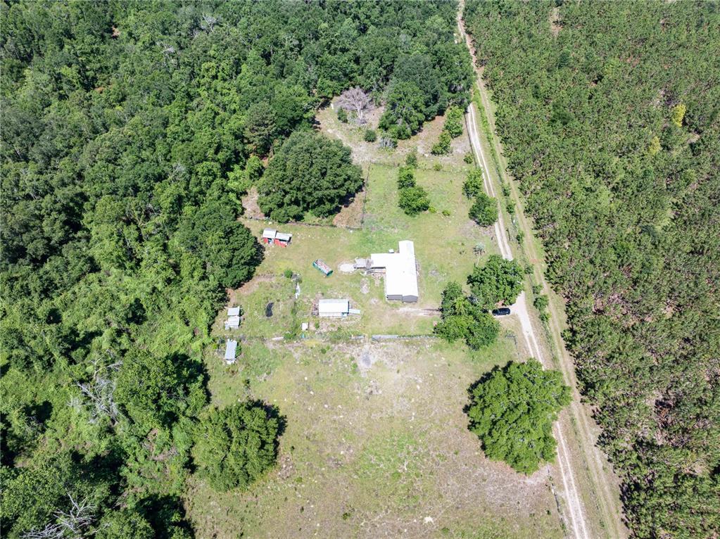 801 Southwest Daisy Road Lake City, FL 32024 - Photo 34 of 51