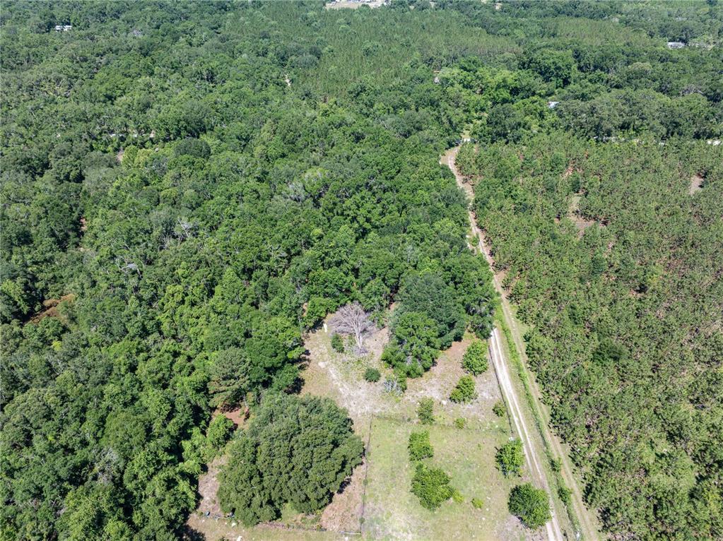 801 Southwest Daisy Road Lake City, FL 32024 - Photo 35 of 51