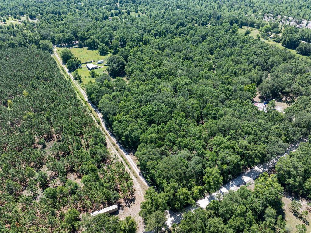 801 Southwest Daisy Road Lake City, FL 32024 - Photo 36 of 51