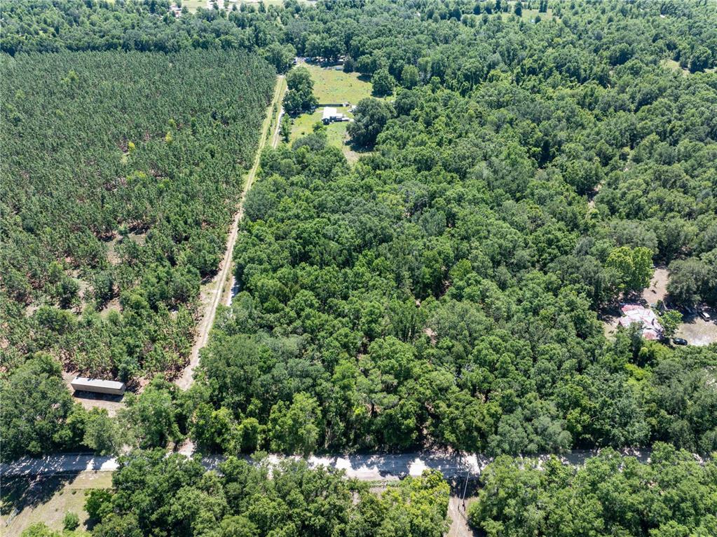 801 Southwest Daisy Road Lake City, FL 32024 - Photo 38 of 51