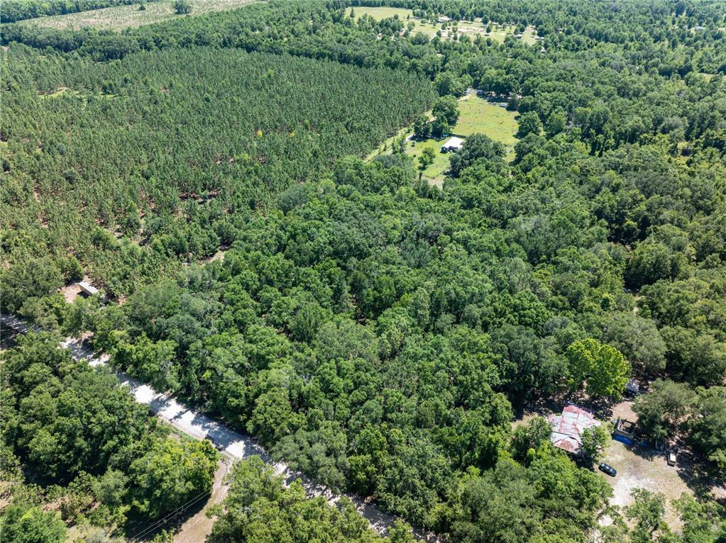 801 Southwest Daisy Road Lake City, FL 32024 - Photo 39 of 51