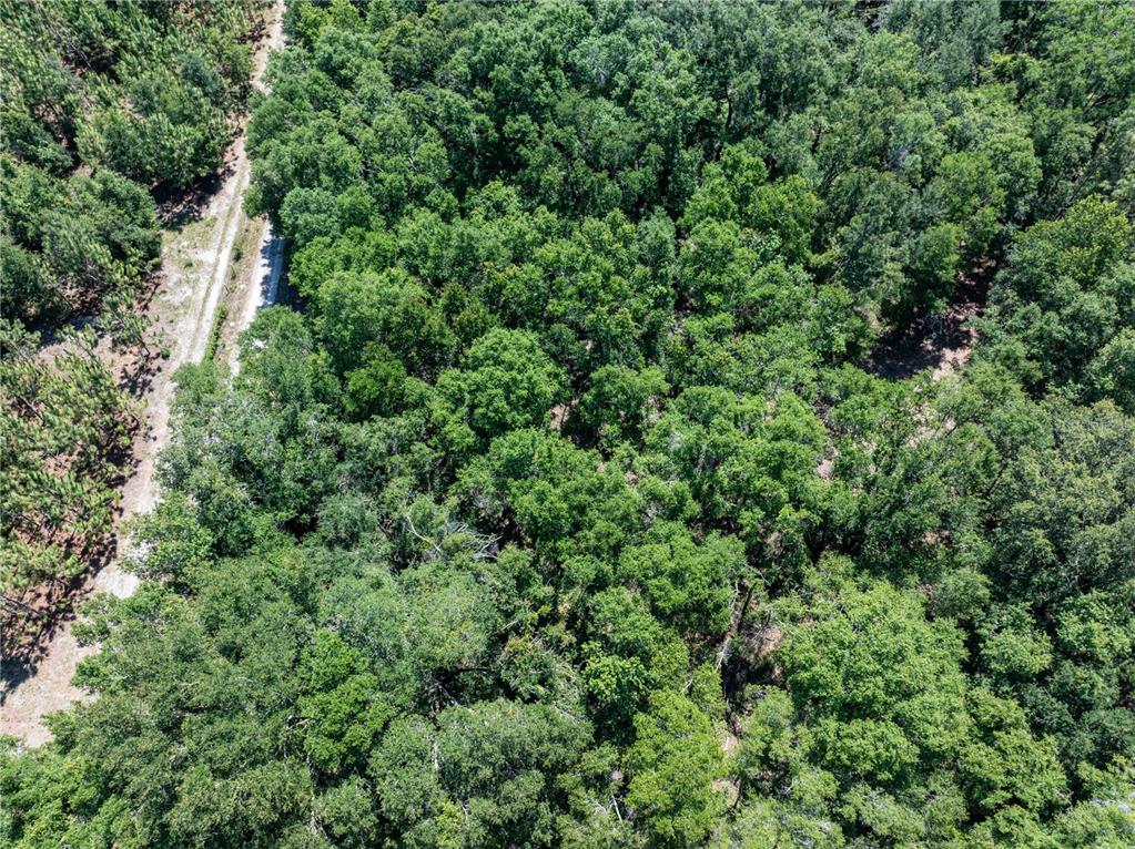 801 Southwest Daisy Road Lake City, FL 32024 - Photo 40 of 51