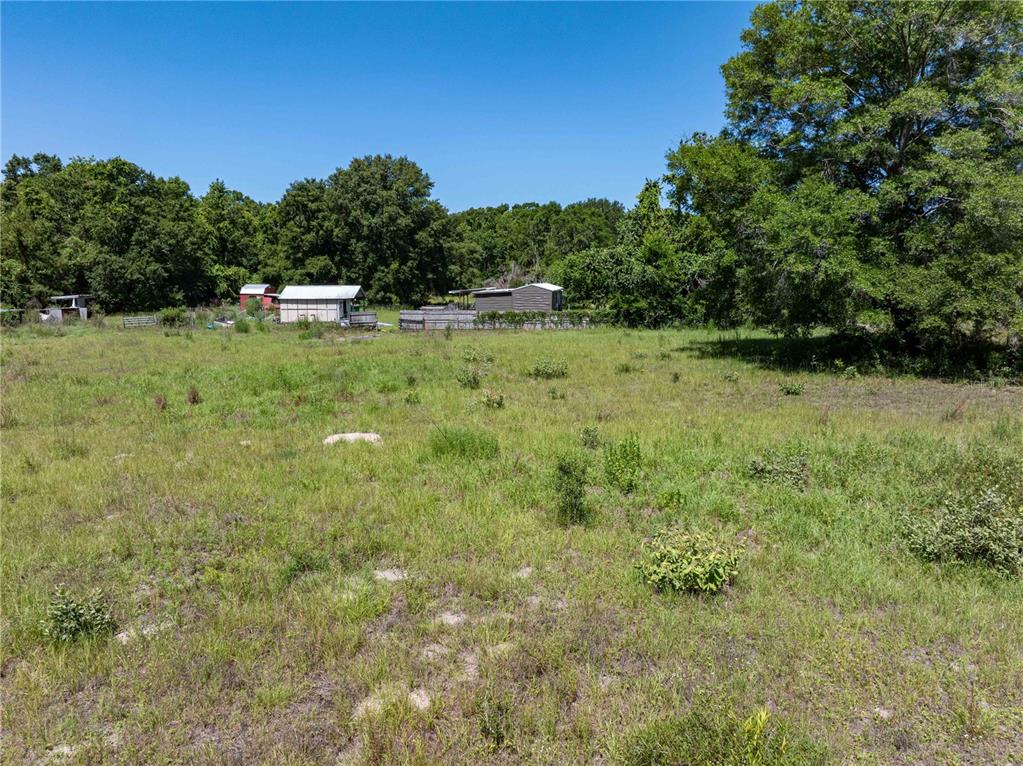 801 Southwest Daisy Road Lake City, FL 32024 - Photo 41 of 51