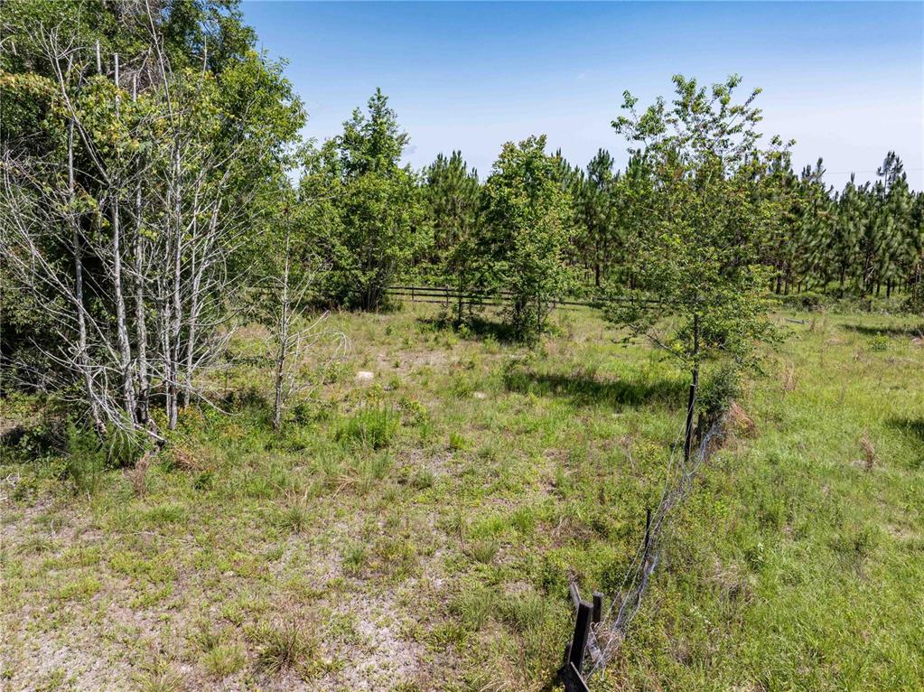 801 Southwest Daisy Road Lake City, FL 32024 - Photo 47 of 51