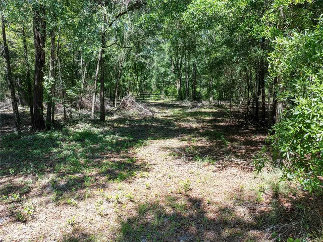 $220,000 | 801 Southwest Daisy Road, Lake City, FL 32024
