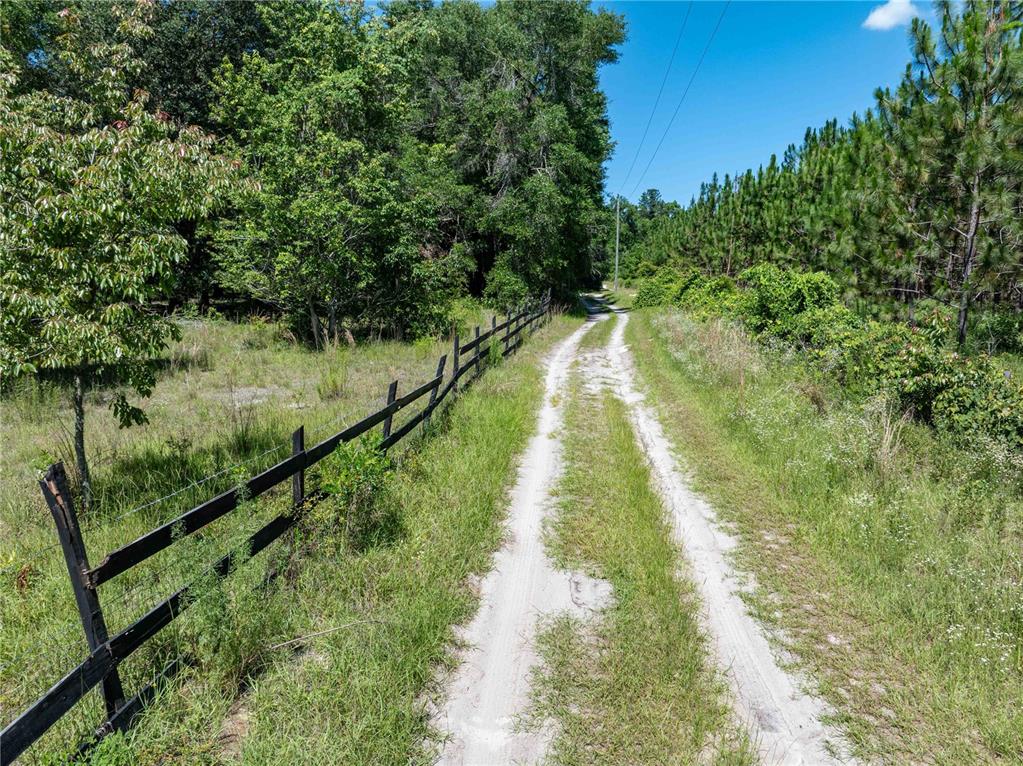 801 Southwest Daisy Road Lake City, FL 32024 - Photo 50 of 51